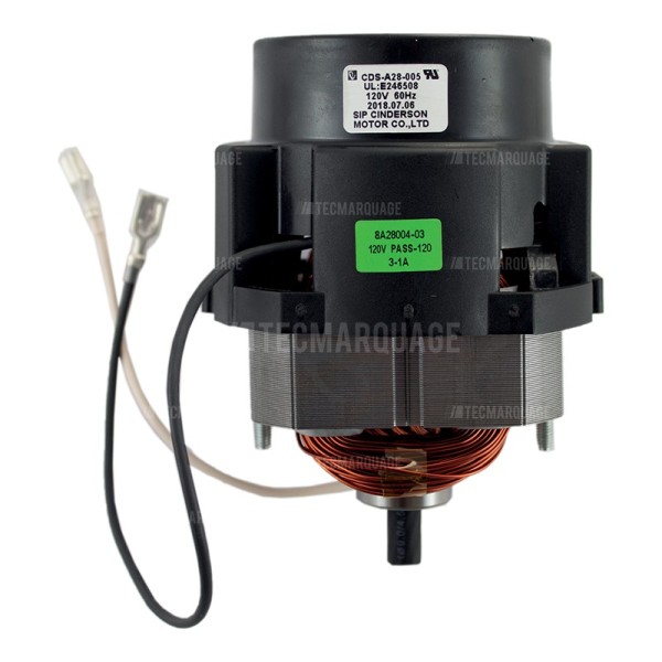 GRACO 16E838 Moteur de Magnum L10 220V Cinderson