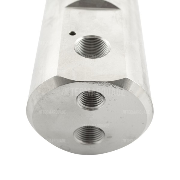 Collecteur filtre LineLazer GRACO 17K166